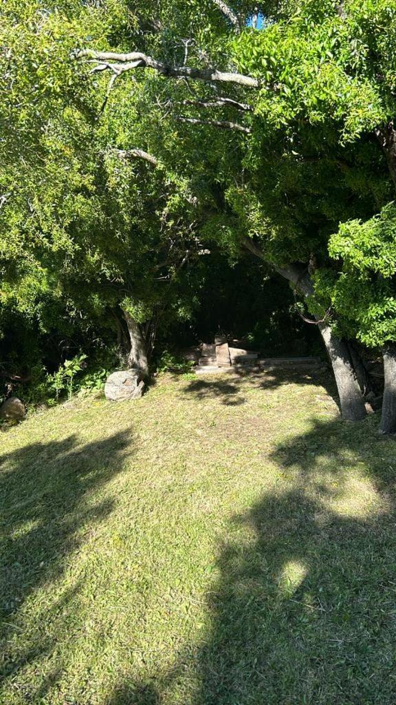 Melipal Schuss Arg41 Apartment San Carlos de Bariloche Bagian luar foto